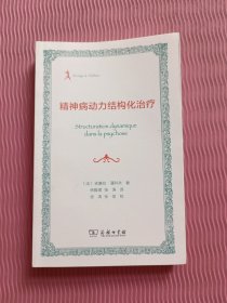 精神病动力结构化治疗/法国人文社会译丛