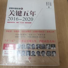 读懂中国改革4：关键五年2016--2020