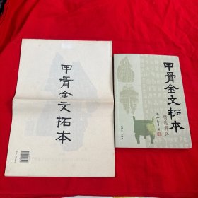 甲骨金文拓本精选释译+甲骨金文拓片 两册合售！