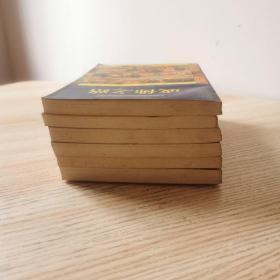 藏传佛教文化现象丛书（拈花微笑，佛光西渐，菩提树下，生命之轮，苦行与乐趣，成佛之路）六本合售
