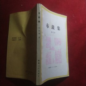布鼓集:杂文集