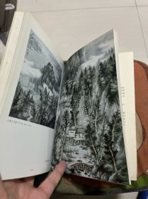 当代中国画家研究丛书.曾先国、李健强绘画作品、中国书画名家 合售