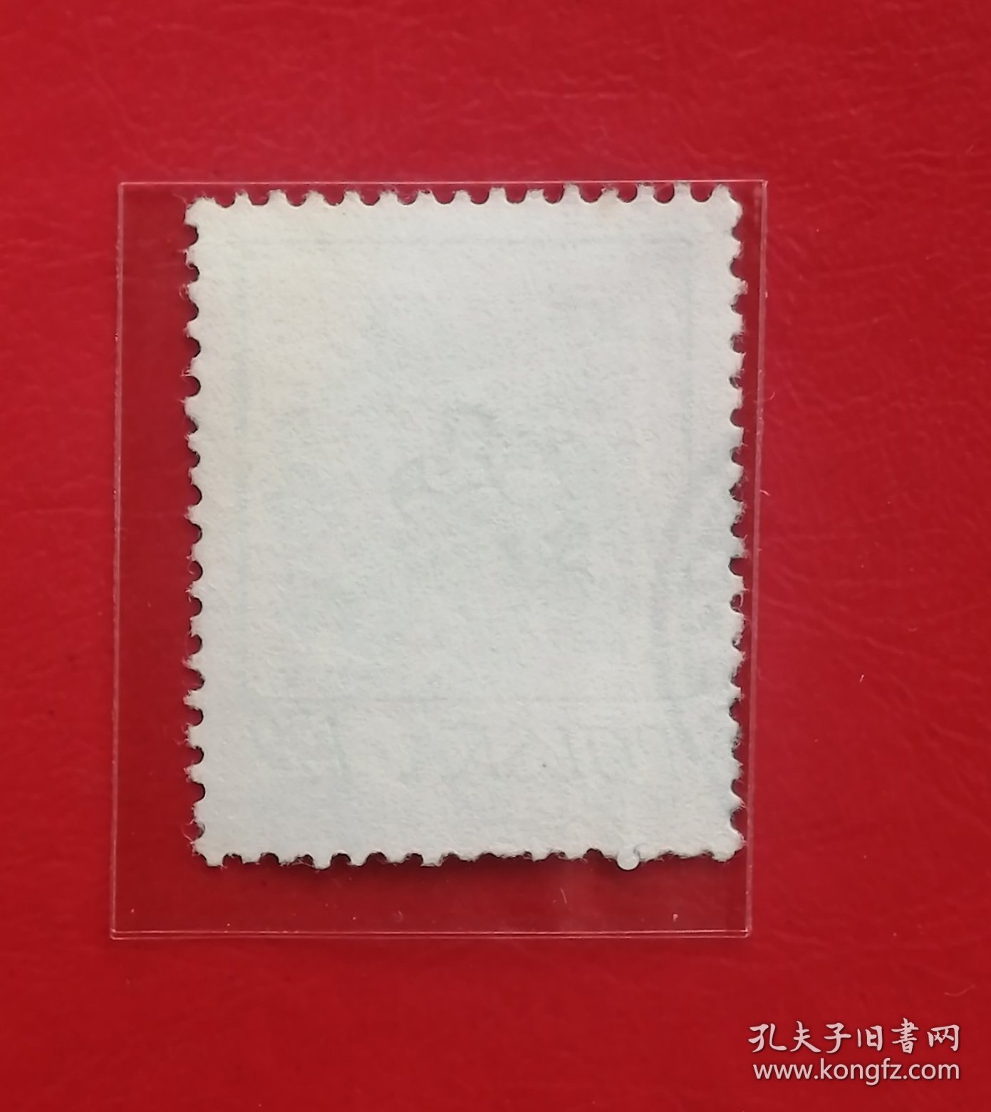 波兰邮票 1974年 花卉 三叶草 6-6 信销