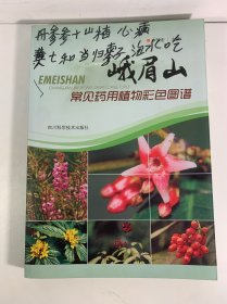峨眉山常见药用植物彩色图谱