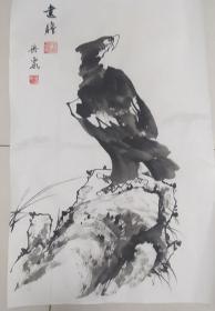 李苦禅的弟子莘洪泉的老鹰《远瞻》尺寸70*45画心