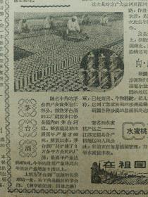 茅台酒