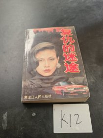 復(fù)仇的迷途