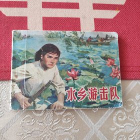 水乡游击队