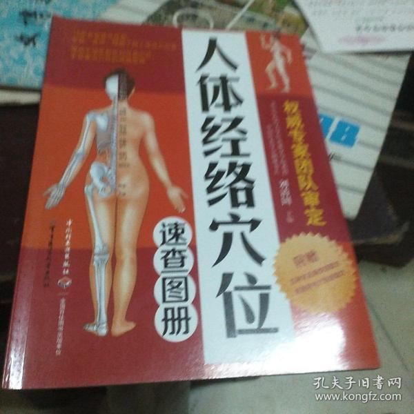 人体经络穴位速查图册