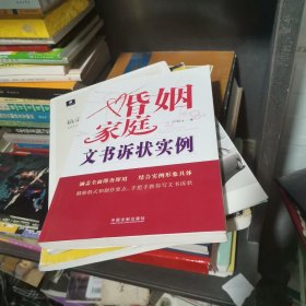 婚姻家庭文书诉状实例