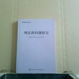 刑法新问题探究