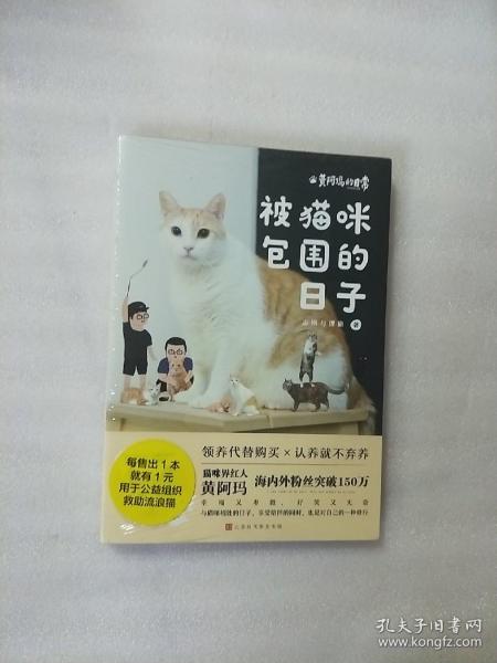 黄阿玛的日常:被猫咪包围的日子