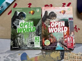 Open World B1，B2，2本合售