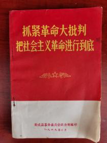 抓紧革命大批判把社会主义革命进行到底