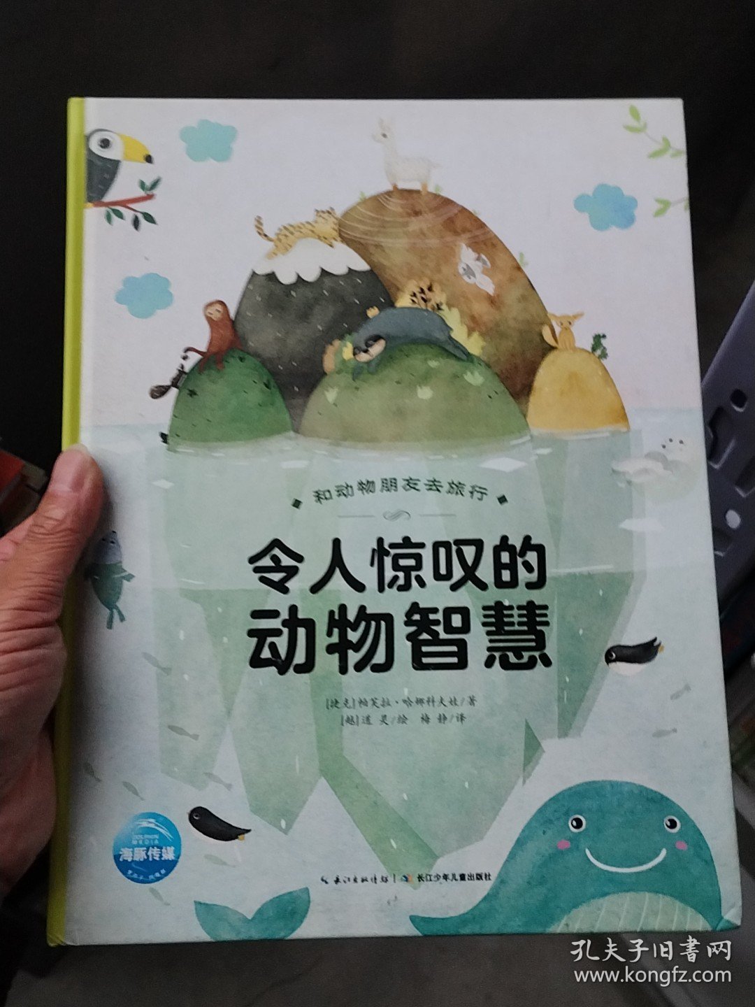 和动物朋友去旅行：令人惊叹的动物智慧