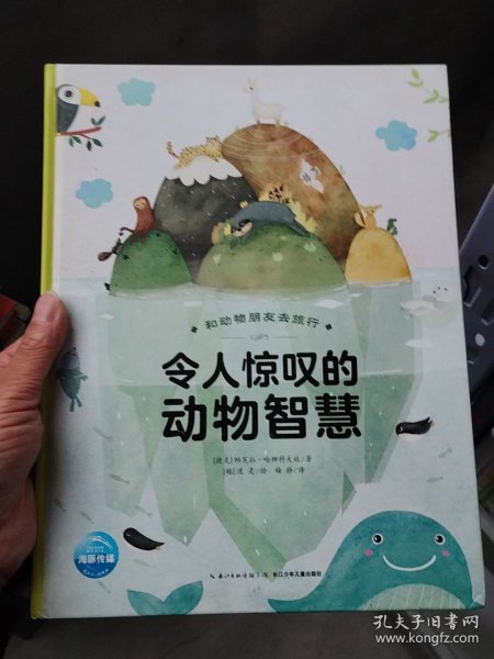 和动物朋友去旅行：令人惊叹的动物智慧