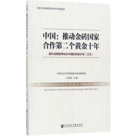 中国：推动金砖国家合作第二个黄金十年 国外战略智库纵论中国的前进步伐（之五）