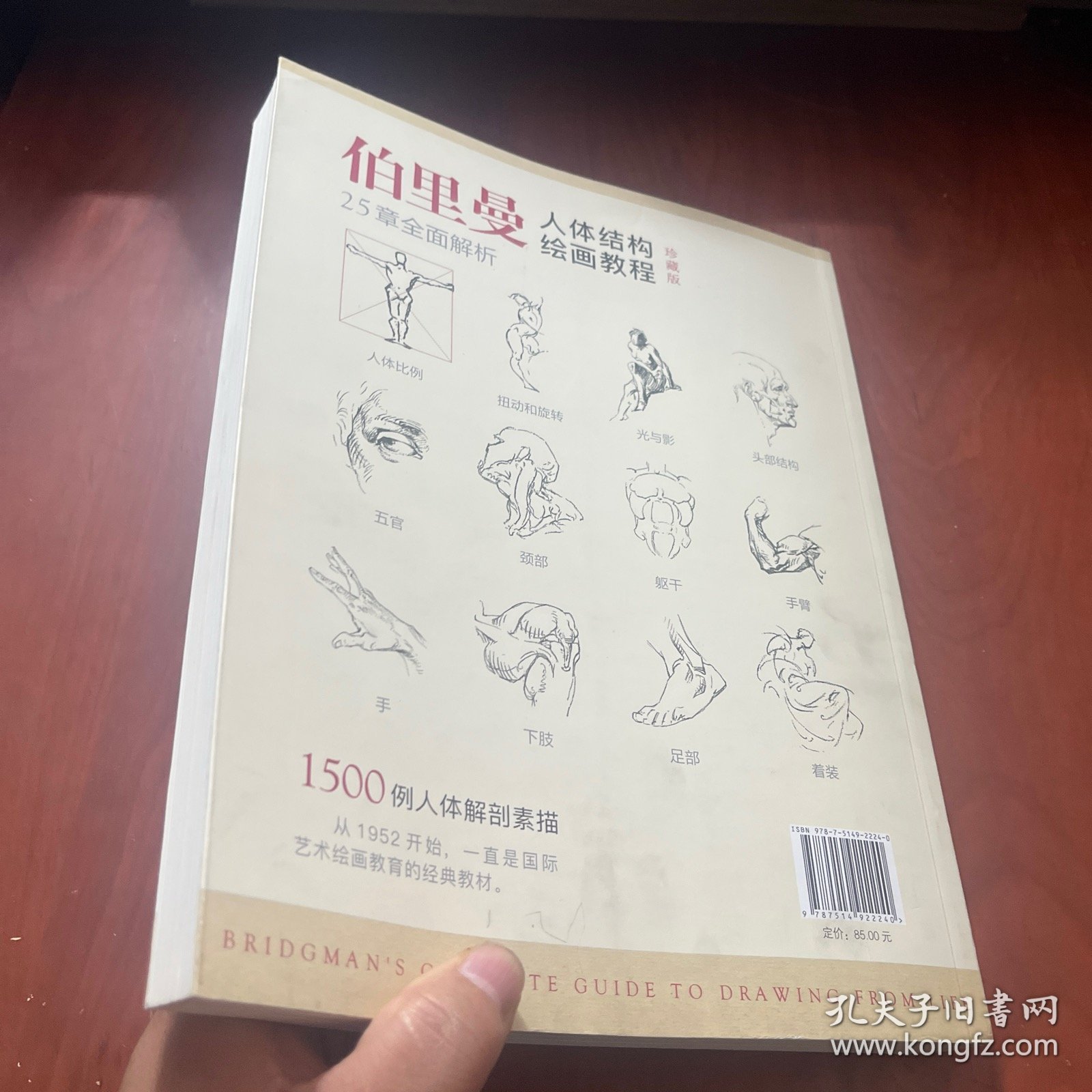 经典全集伯里曼人体结构绘画教程