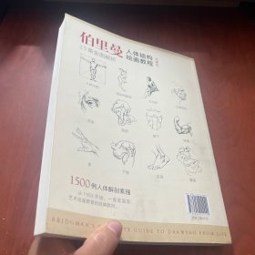经典全集伯里曼人体结构绘画教程