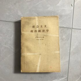社会主义政治经济学