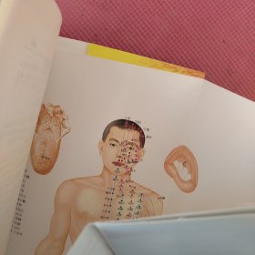 黄帝内经十二时辰养生法