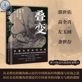 《叠变:鸦片、枪炮与文明进程 中的中国（1840-1915）》
