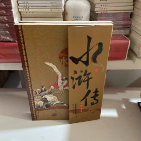 中国古典文学名著：水浒传（彩绘版）（上下）