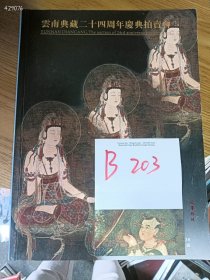 仅一本库存，云南典藏二十四周年庆典拍卖会-长见今点，特价 20 元 B203