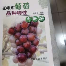 巨峰系葡萄品种特性与栽培