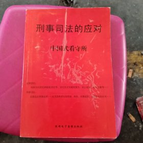 刑事司法的应对