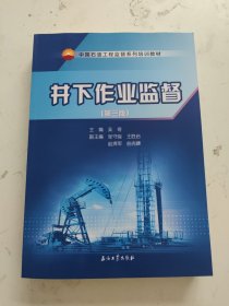 井下作业监督（第三版）/中国石油工程监督系列培训教材