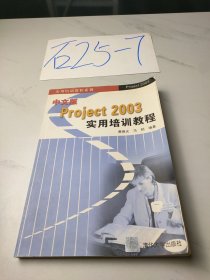 中文版Project 2003实用培训教程——实用培训教程系列