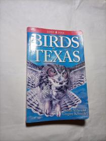 Birds of Texas