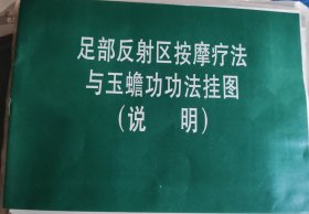 足部反射区按摩疗法与玉蟾功功法挂图（内含1张说明，4张挂图）