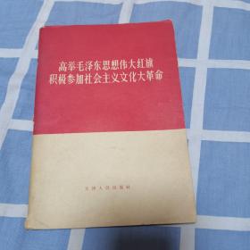 高举毛泽东思想伟大红旗积极参加社会主义文化大革命