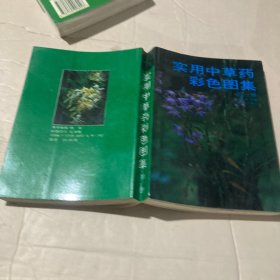 实用中草药彩色图集1