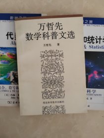 万哲先数学科普文选