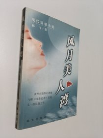 风月美人湾:现代情感小说