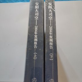安阳大司空——2004年发掘报告（上、下册）