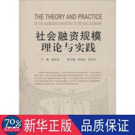 社会融资规模理论与实践