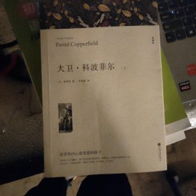 大卫科波菲尔（上）中国文联出版社