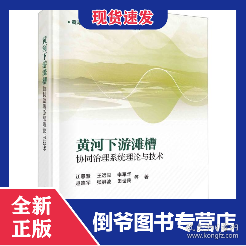 黄河下游滩槽协同治理系统理论与技术/黄河流域系统治理理论与技术丛书