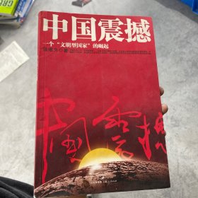 中国震撼：一个“文明型国家”的崛起