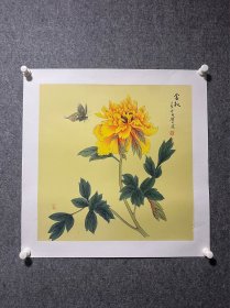 管仁余画家三尺斗方绢本丝绸花鸟工笔画菊花工笔画卧室画床头挂画走廊画茶室画可批发可零售