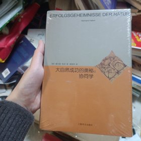 大自然成功的奥秘：协同学（睿文馆）