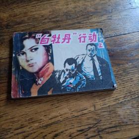“白牡丹