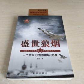 盛世狼烟：一个空军上校的国防沉思录