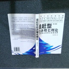 追赶型经济增长理论一种组织经济增长新思路第6版