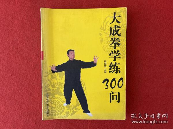 大成拳学练300问