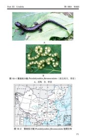 中国两栖动物图鉴：野外版 费梁 9787534999949